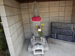 ���q�n����