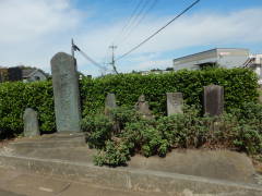 ���{����