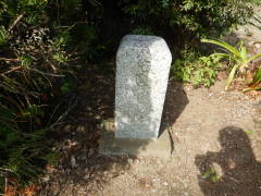 �ԉ������H���W