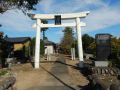 �����_�В���