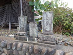 �n���ϐ���