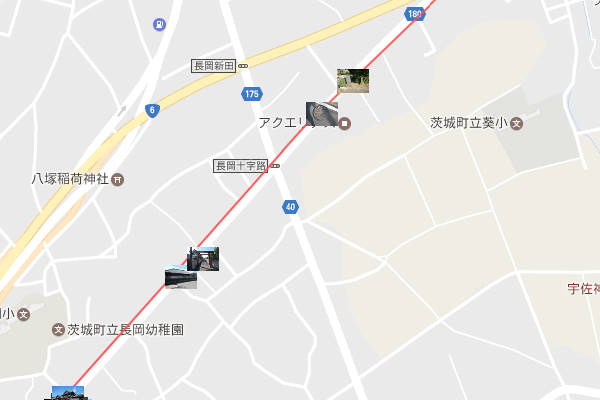 �����엿�X