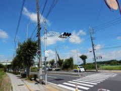 ���щw������