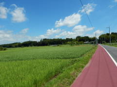 ���ˊX���Ɛ��c