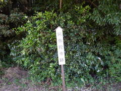 ����Ɏ���