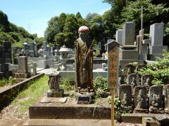 �����喾�_