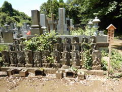 ��������ϐ�����F