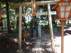 �����䗅�{