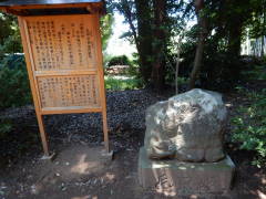 ���ƖV��⣂̔o��