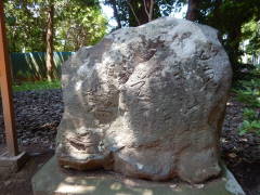 ���ƖV��⣂̔o��