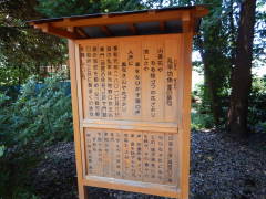 ���ƖV��⣂̔o��