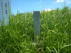 ����ꗢ��