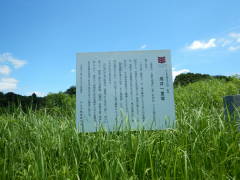 ����ꗢ��