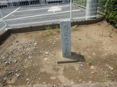 ����t����