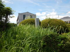 �r�쉫�̈ꗢ��