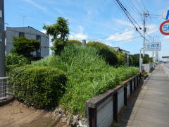 �r�쉫�̈ꗢ��