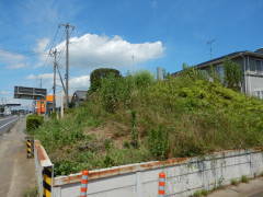 �����ꗢ��