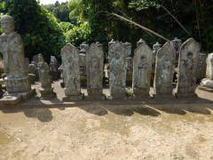 �ω����Ղ̐Ε��Q