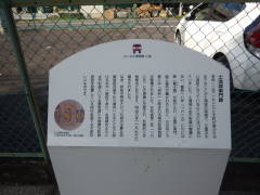 �y�Y�����