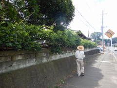 ���h�Ȋ_��