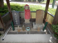 �n���ϐ���