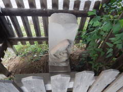 �q���n��