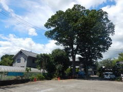 ���h�Ȏ���