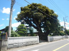 ���h�Ȏ���