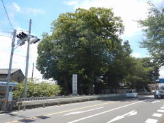 �M�z�H�_��