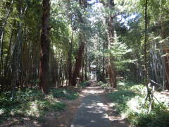 �|�тɈ͂܂ꂽ�Q��