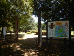 �����k�R���֐�����