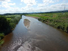 �����i�Ђʂ܁j��