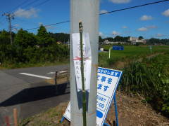 �܍����A���