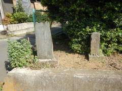 �n���ϐ���