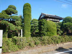 �g�c���w�Z�a���̒n