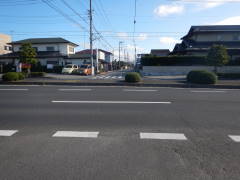 ����235�������f