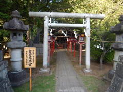 �g�c�V���{