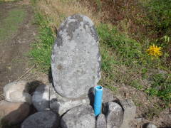 �n���ϐ���