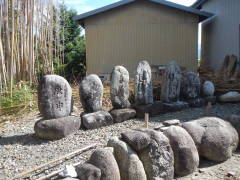 �M�\���E�n���ϐ����Q