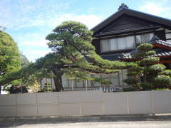 ���h�ȏ��̖�