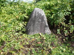 �n���ϐ���