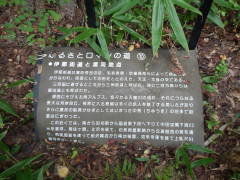 �ӂ邳�ƃ��}���̓�