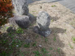 �n���ϐ���