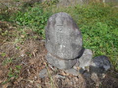 �n���ϐ���