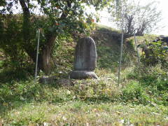 �n���ϐ���