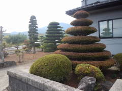 ���h�ȐA��