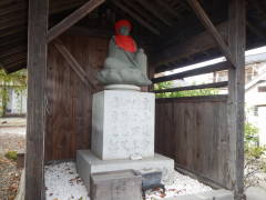 �����n������