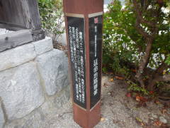 �����n������