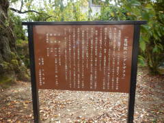 �����@�̃V�_���U�N��