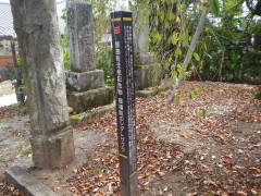 �����@�̃V�_���U�N��